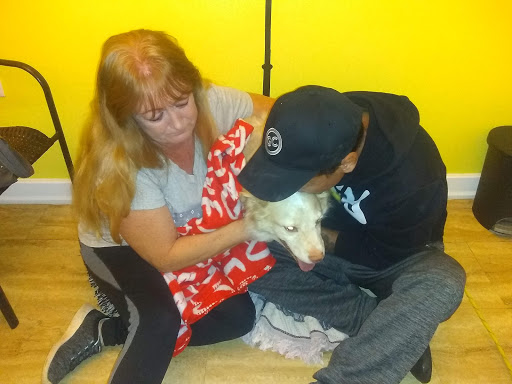 Happy Life Animal Hospital image