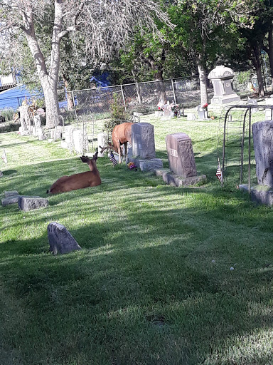 Tourist Attraction «Adventures Out West», reviews and photos, 1335 Manitou Ave, Manitou Springs, CO 80829, USA