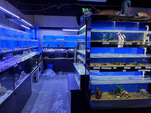 Tropical Fish Store «Optimum Aquarium», reviews and photos, 840 Ernest W Barrett Pkwy NW #700, Kennesaw, GA 30144, USA