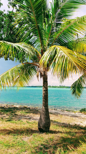 Park «Haulover Park», reviews and photos, 10800 Collins Ave, Miami Beach, FL 33154, USA