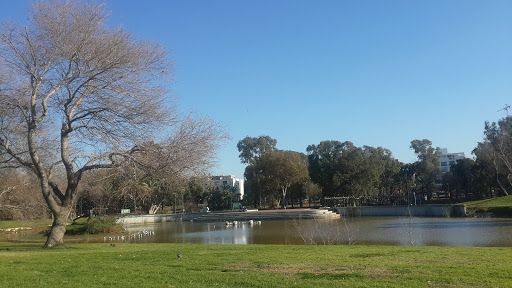 Parks to celebrate birthdays in Tel Aviv