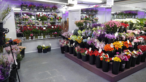 Florist «The Frugal Flower», reviews and photos, 736 Boston Post Rd, Sudbury, MA 01776, USA