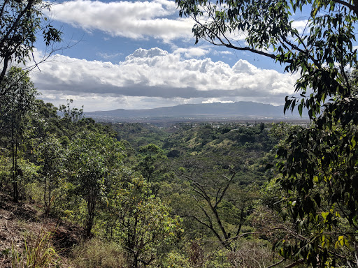 Waimano Valley / Ridge Trail Head