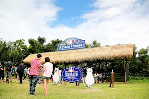Alpaca house image