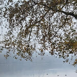 Photo n°2 de l'avis de Kat. fait le 22/12/2021 à 19:50 sur le  LaZanzara à Avigliana