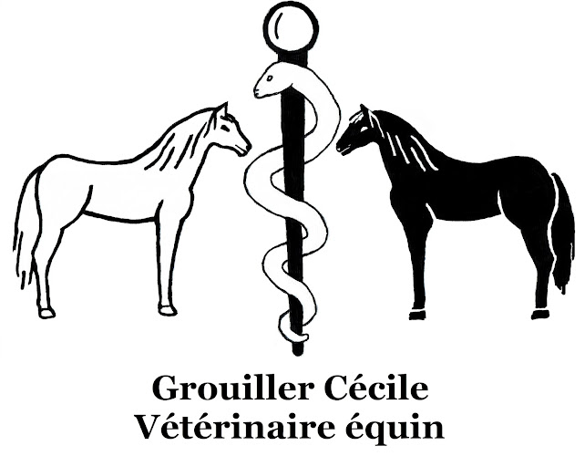 Grouiller Cécile / Vétérinaire équin