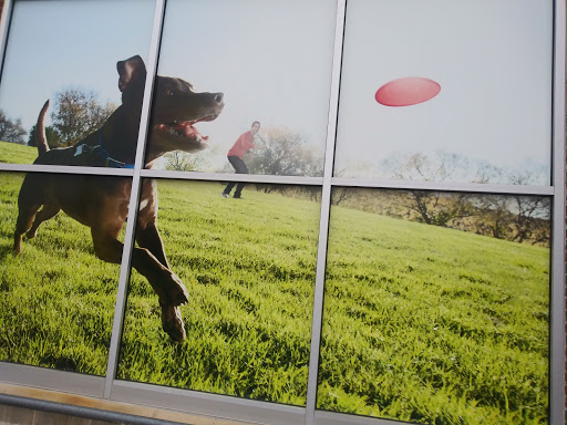 Pet Supply Store «Petco Animal Supplies», reviews and photos, 2250 Petrie Ln #518, Lanham, MD 20706, USA