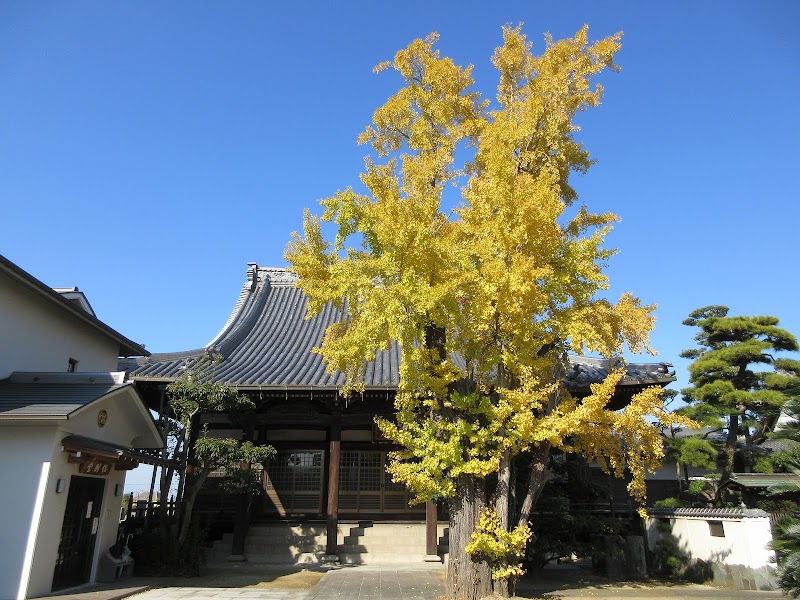 円龍寺 - 浄土真宗興正派