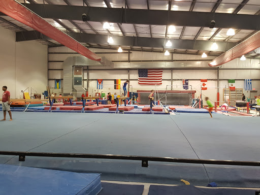 Virginia International Gymnastics School
