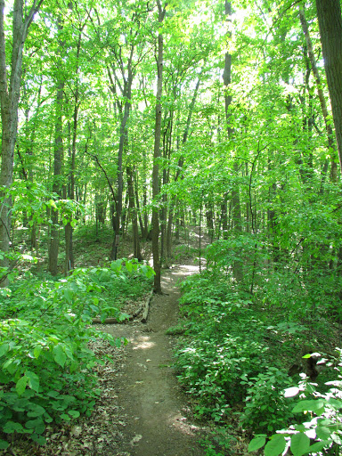 Golf Course «​​​​​Leslie Park Golf Course», reviews and photos, 2120 Traver Rd, Ann Arbor, MI 48105, USA