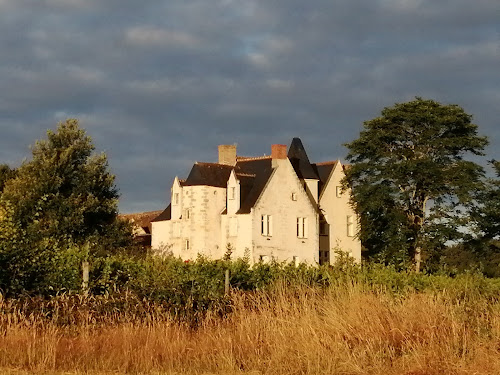 Château de la Roche à Cheillé