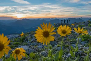 Arosa Tourismus image