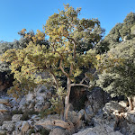 Photo n°13 de l'avis de Francesca.i fait le 01/11/2020 à 13:21 sur le  Bar cafe Ristorante Pizzeria Baunei à Baunei