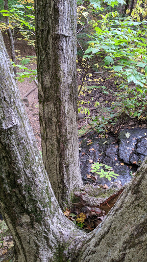 Tourist Attraction «Black Ledge Falls», reviews and photos, Hebron Ave, Glastonbury, CT 06033, USA