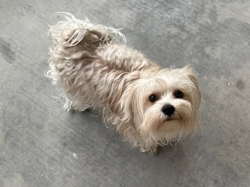 3600 W Main St, Leesburg, FL 34748, USA