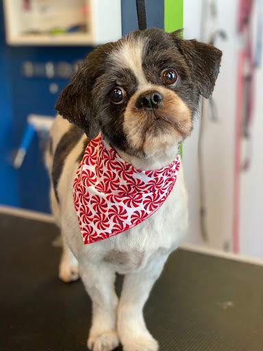 Pet Store «Healthy Pets Mountain West», reviews and photos, 2352 Fort Union Blvd, Cottonwood Heights, UT 84121, USA