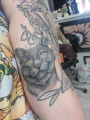 Tattoo Shop «Electric Dragonland», reviews and photos, 923 Mainstreet, Hopkins, MN 55343, USA