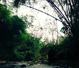 Wana Wisata Cidomas photo