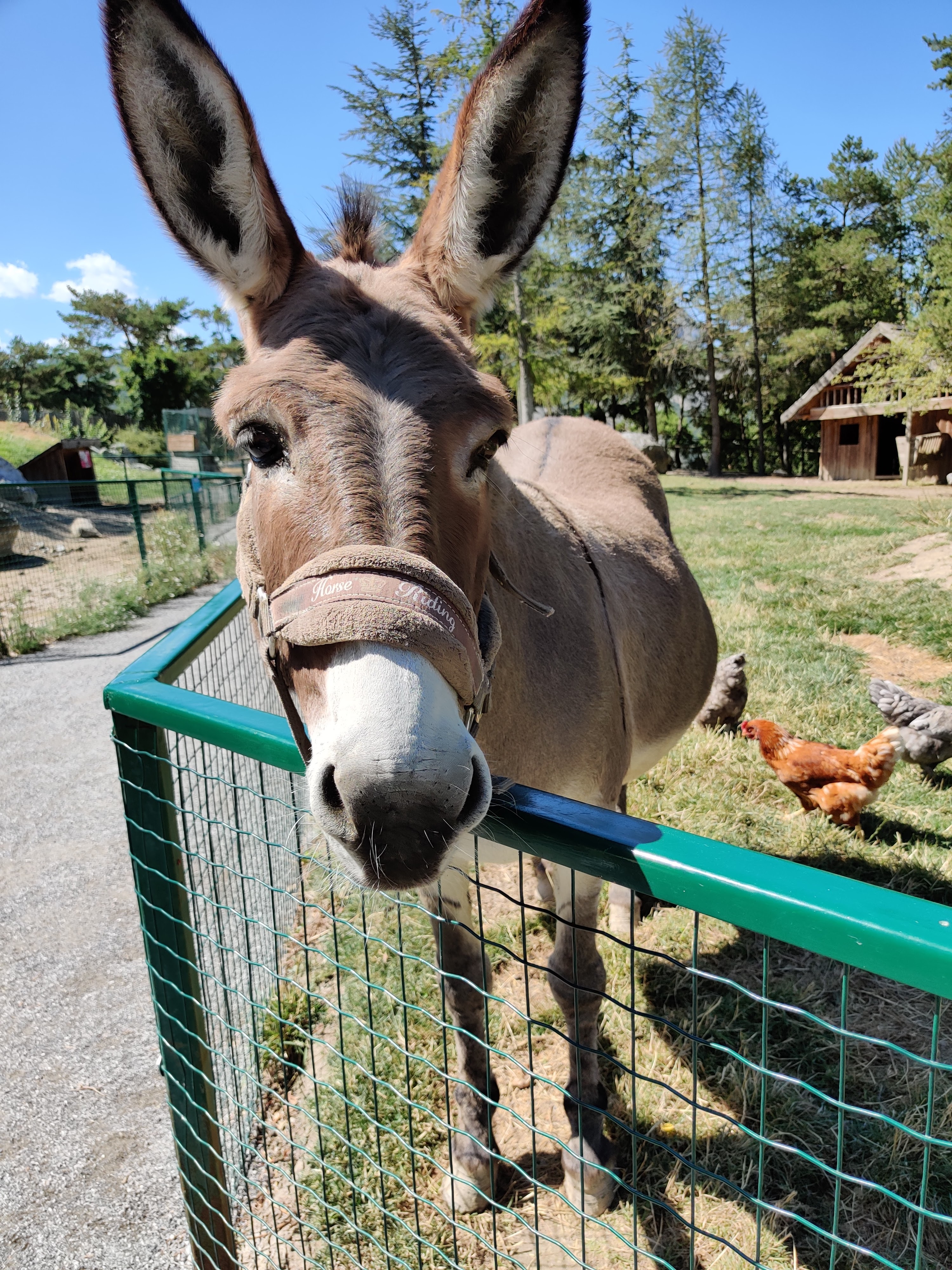 Photo n° 11 de l'avis de Julien.o fait le 14/08/2020 à 12:49