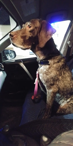 Pet Supply Store «PetSmart», reviews and photos, 14 Crossing Way #2, Augusta, ME 04330, USA