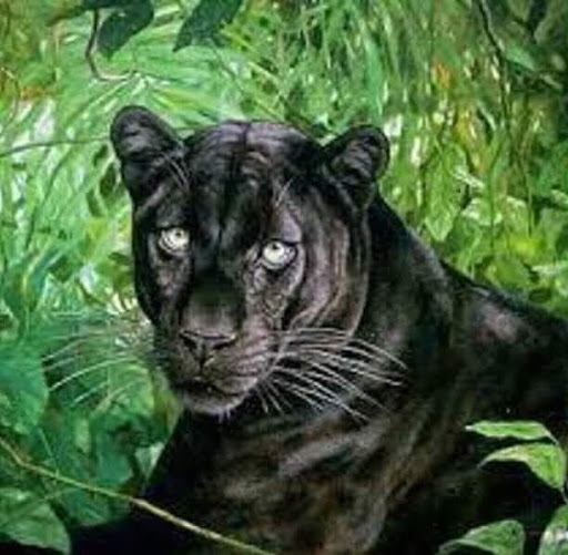 Ice Cream Shop «Icesmile Tampa», reviews and photos, 1512 E Fowler Ave, Tampa, FL 33612, USA