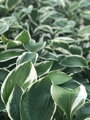 Home Improvement Store «The Home Depot», reviews and photos, 288 Daniel Webster Hwy, Nashua, NH 03060, USA