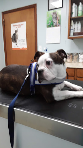 Dogwood Vet Hospital