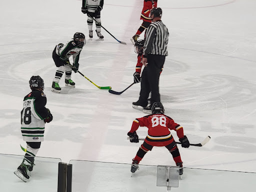 Ice Skating Rink «The Edge Ice Arena», reviews and photos, 735 E Jefferson St, Bensenville, IL 60106, USA