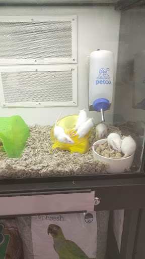 Pet Supply Store «Petco Animal Supplies», reviews and photos, 2021 Evergreen Ave, Modesto, CA 95350, USA
