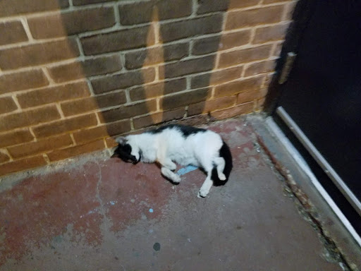 Shopping Mall «Hilltop Shopping Center», reviews and photos, 5400 Reisterstown Rd, Baltimore, MD 21215, USA