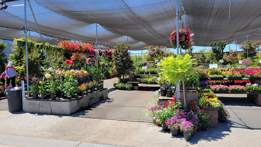 Hardware Store «Payless Hardware, Rockery and Nursery», reviews and photos, 2927 King Rd, San Jose, CA 95122, USA