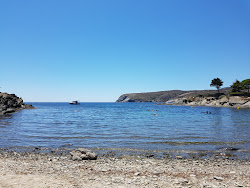 Foto di Platja d'en Pere Fet zona selvaggia