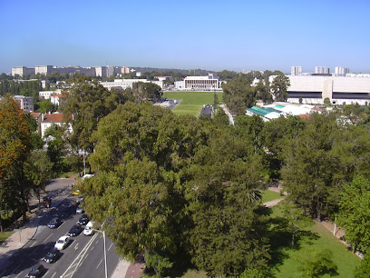 Centro de Escritórios Campo Grande