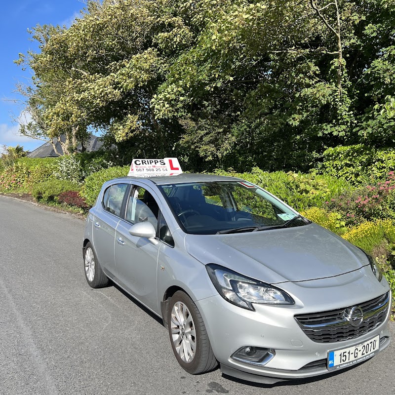 Cripps School of Motoring: Driving Lessons Galway