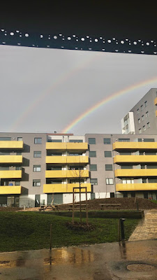 Vert En vue à Strasbourg