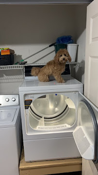 Gochnauer's Home Appliance Center - Photo 4 - Car repair in East Petersburg, PA, Lancaster