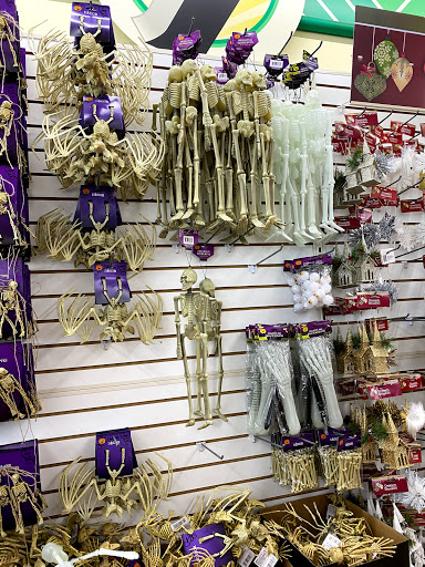 Dollar Store «Dollar Tree», reviews and photos, 500 NJ-38, Cherry Hill, NJ 08002, USA