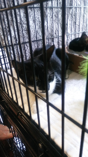 Pet Supply Store «Pet Valu», reviews and photos, 411 Valley Brook Ave, Lyndhurst, NJ 07071, USA