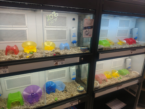 Pet Supply Store «Petco Animal Supplies», reviews and photos, 3150 Erie Blvd E #500, Syracuse, NY 13214, USA
