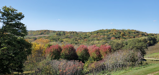 Winery «Park Farm Winery», reviews and photos, 15159 Thielen Rd, Durango, IA 52039, USA