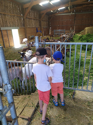 Ferme Billon à Allouis