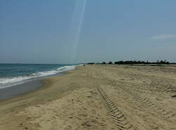 Foto af Nallavadu Beach med lang lige kyst