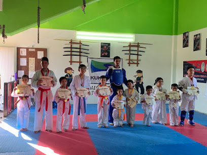 Escuela municipal de tae kwon do Madero