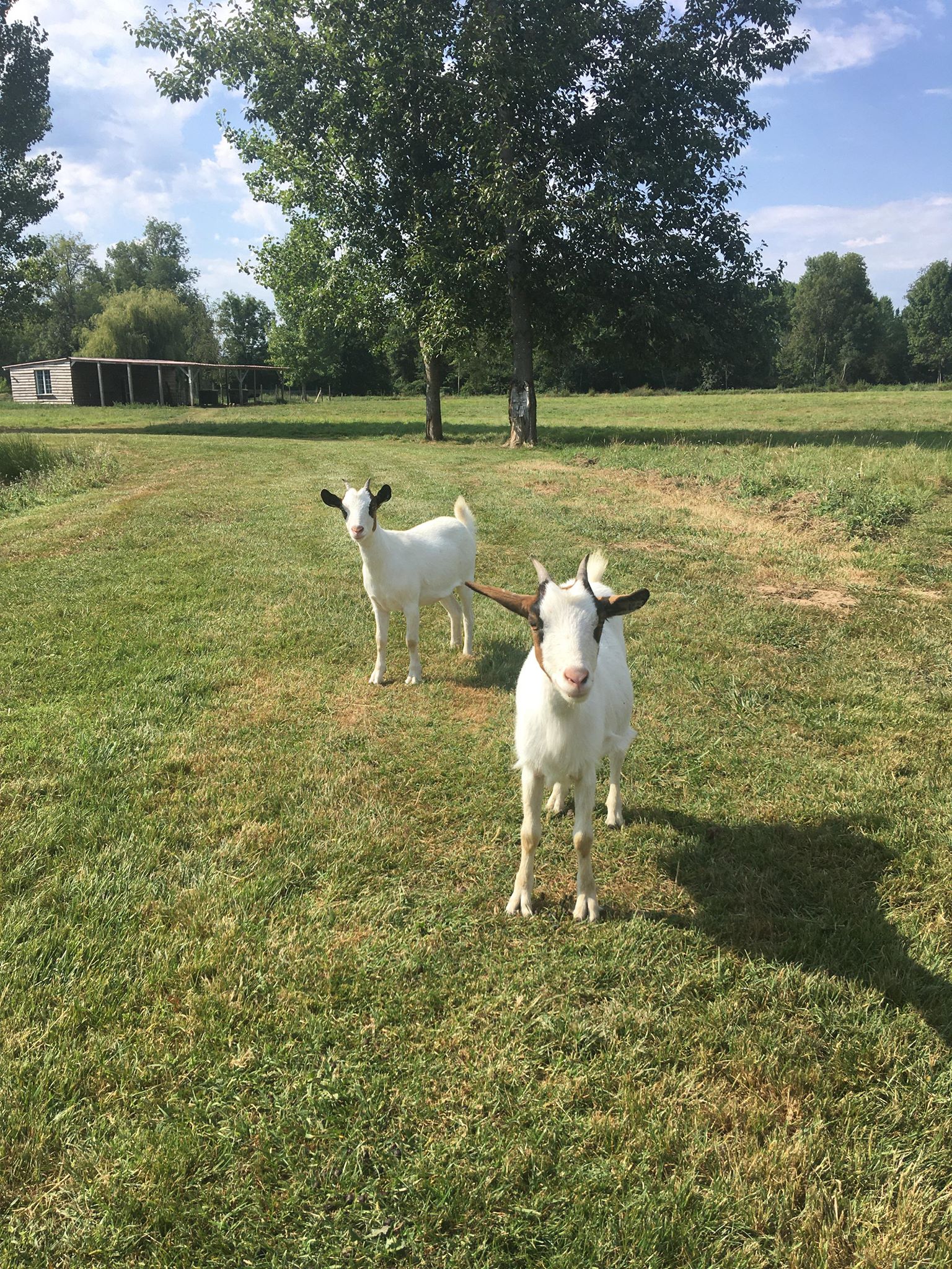 Photo n° 2 de l'avis de Léa.a fait le 05/08/2020 à 15:34