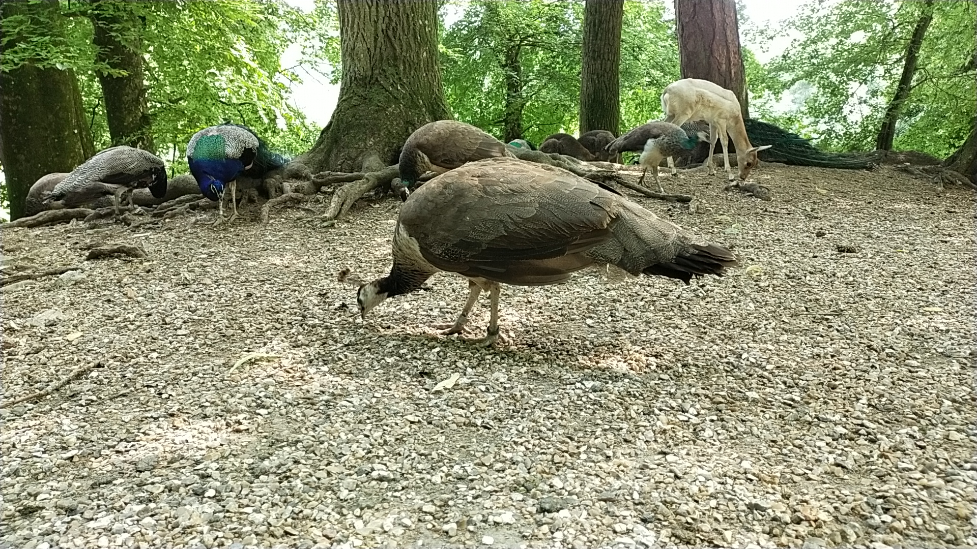 Photo n° 4 de l'avis de Amandine.a fait le 03/07/2023 à 22:00