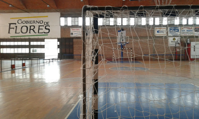 Plaza de Deportes Trinidad - Gimnasio