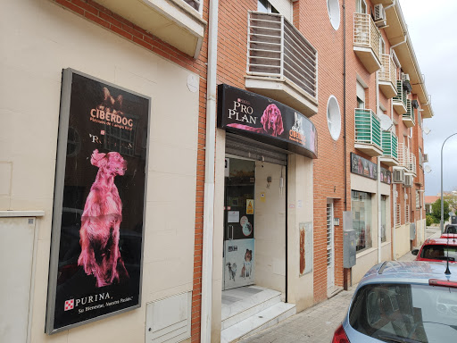 Ciberdog Campo Real en Campo Real, Madrid