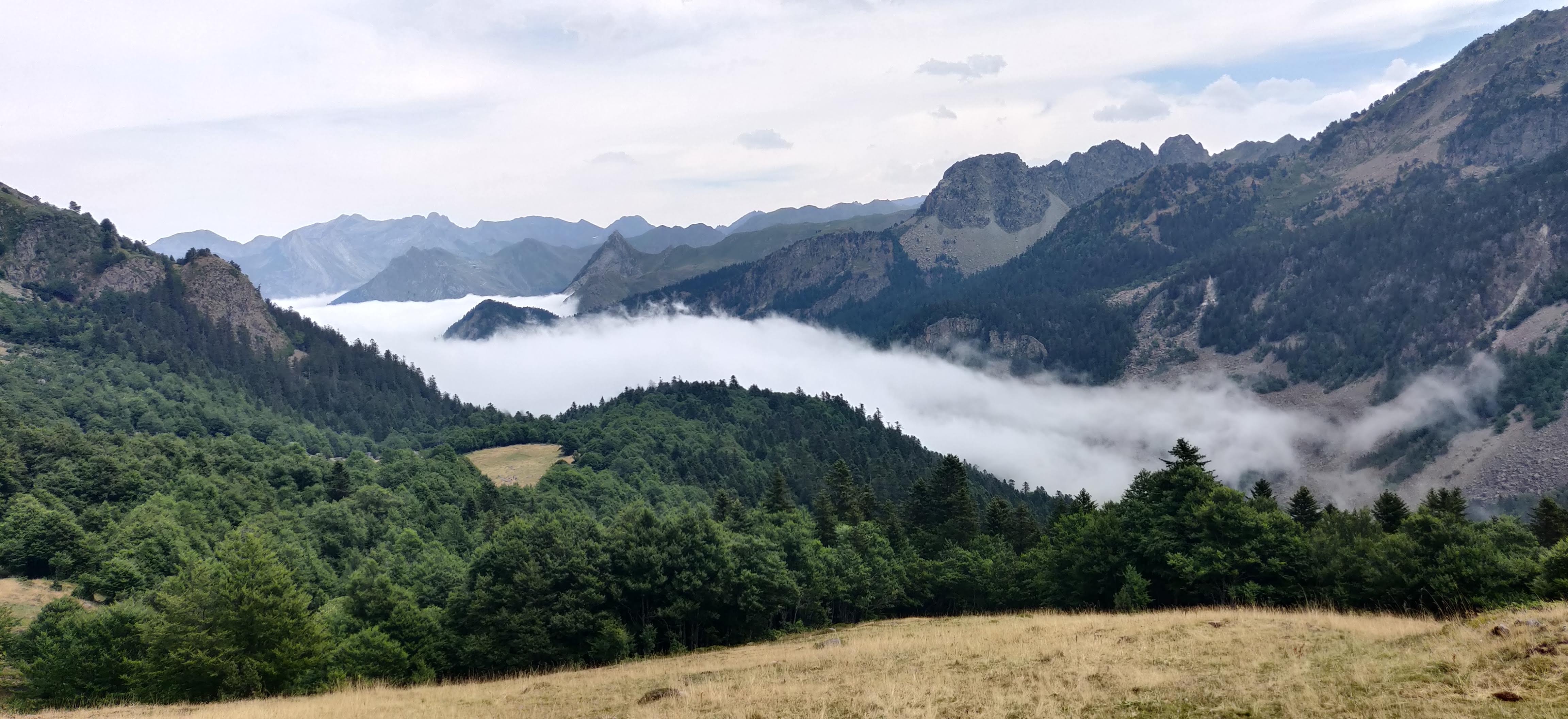 Photo n° 26 de l'avis de Frédéric.o fait le 14/10/2022 à 10:27