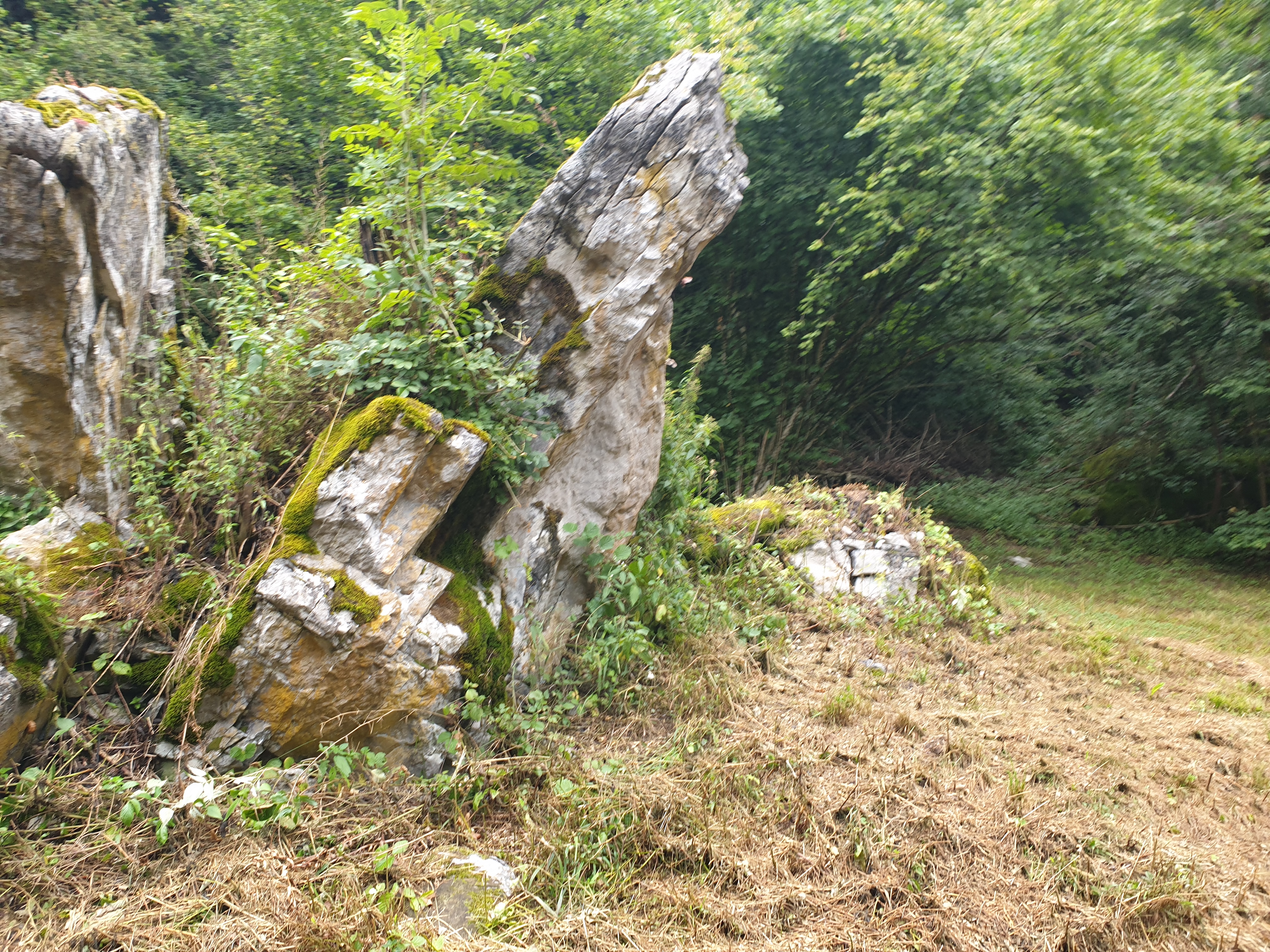 Photo n° 4 de l'avis de Sebastien.o fait le 03/08/2020 à 17:34