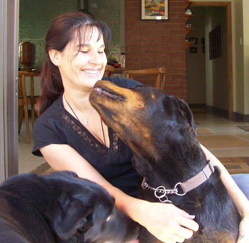 Canine Companion Dog Training at Home